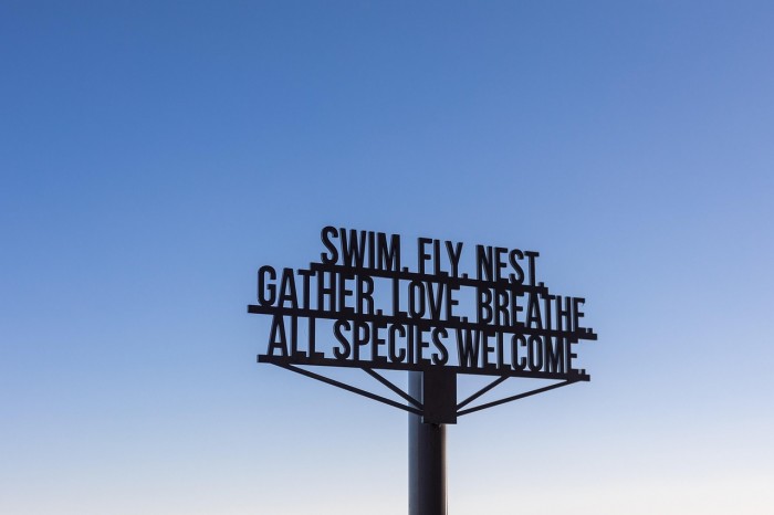 Family Ties: Gratitude Quotes to Cherish Your Loved Ones