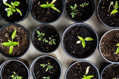 Cultural Wisdom: Diverse Quotes and Their Impact on Global Self-Development