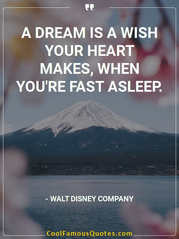 A dream is a wish your heart makes, when you're fast asleep.