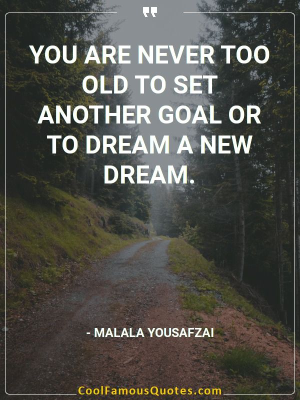 You are never too old to set another goal or to dream a new dream.