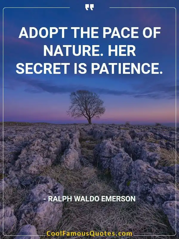 Adopt the pace of nature. Her secret is patience. inspirational quotes - Image for quote : Adopt the pace of nature. Her secret is patience.