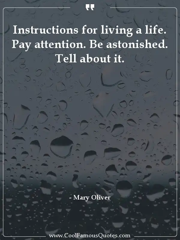 Instructions for living a life. Pay attention.... inspirational quotes - Image for quote : Instructions for living a life. Pay attention. Be astonished. Tell about it.
