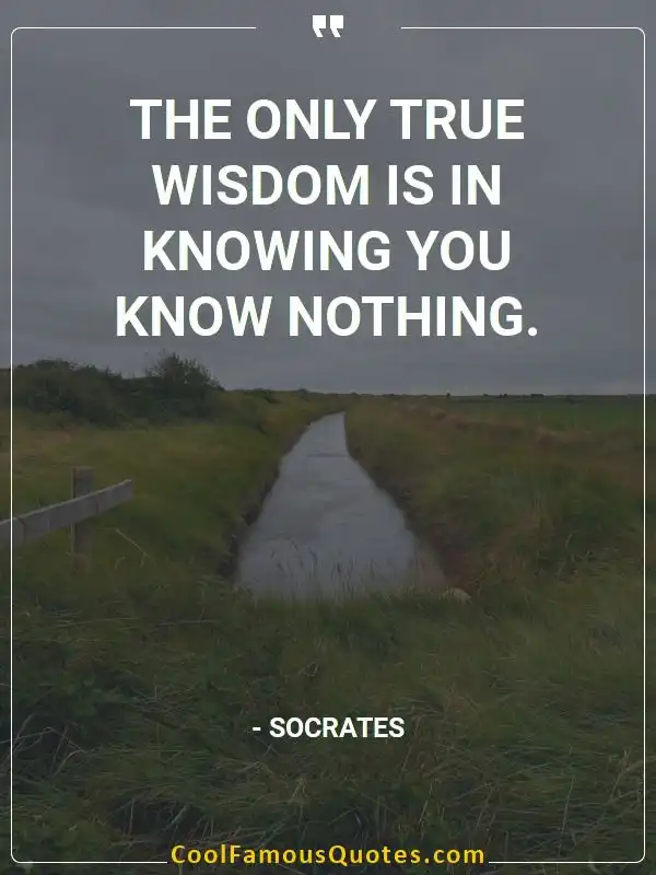 The only true wisdom is in knowing you know... inspirational quotes - Image for quote : The only true wisdom is in knowing you know nothing.