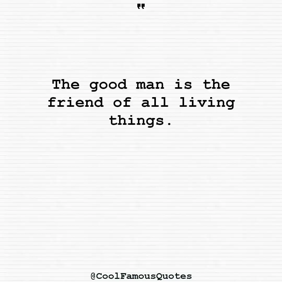 smart quotes,  life quotes, short quotesThe good man is the friend of all living things.