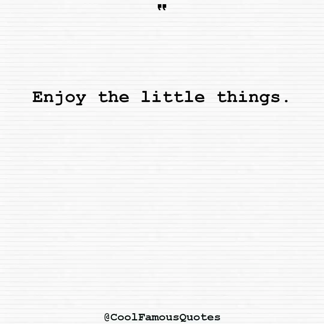 smart quotes,  life quotes, short quotesEnjoy the little things.